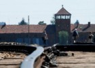 Auschwitz protege sua sobrevivência