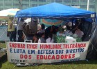 Professores do Paraná têm primeira vitória no ano do 'pacotaço'