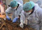 Equipe da Espanha crê ter achado os restos de Miguel de Cervantes