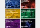 O que foi 2015 para os brasileiros segundo a pesquisa no Google