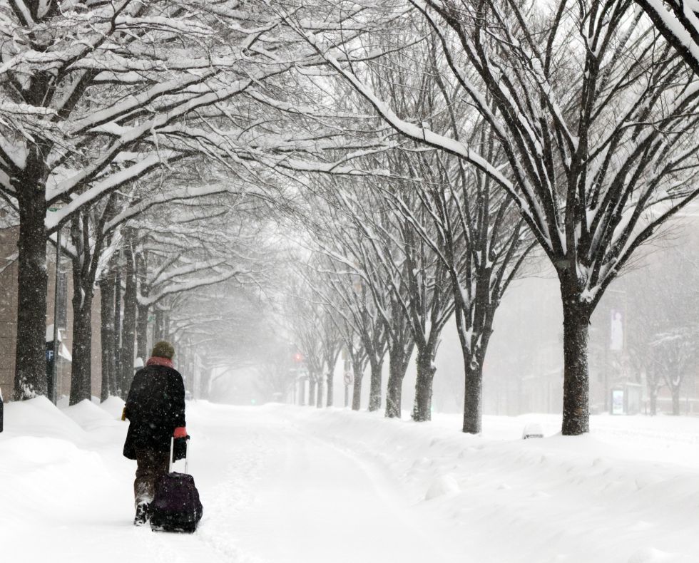 As ruas de Washington completamente cobertas de neve.