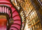 A amarga vitória da Livraria Lello