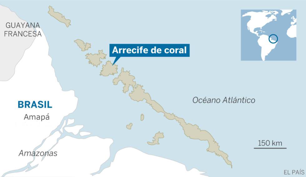 Grande recife de coral é descoberto na foz do rio Amazonas