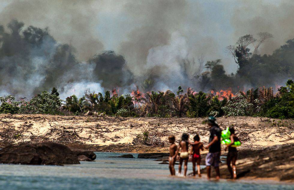 Uma das ilhas do Xingu, desmatada e queimada para o enchimento do lago de Belo Monte.