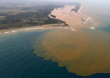 Comissão Interamericana denuncia Brasil à OEA por tragédia no Rio Doce Comissão Interamericana denuncia Brasil à OEA por tragédia no Rio Doce