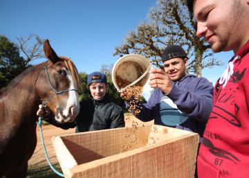 Escola rural gaúcha fisga jovens do campo com ensino tecnológico