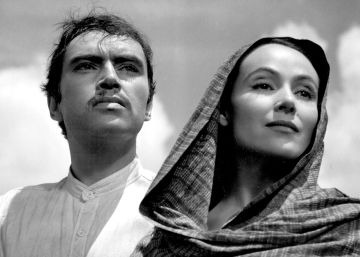 Festival de Cinema Latino-Americano de São Paulo celebra olhar feminino