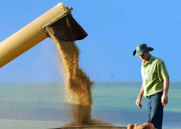 Agricultura brasileira continua firme, apesar da crise com ‘Brexit’