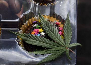 Cidade do México aposta na legalização da maconha para uso medicinal Cidade do México aposta na legalização da maconha para uso medicinal