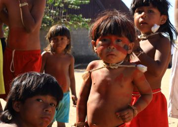 Impeachment abre novo capítulo no conflito da área indígena mais desmatada do país