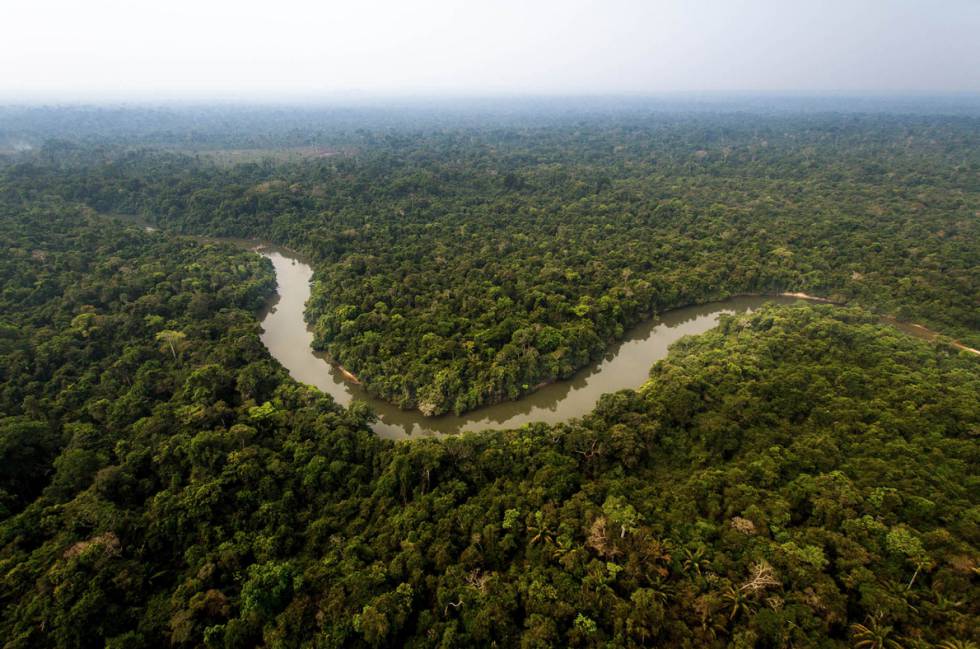 A Terra Indígena Mekrãgnoti, banhada pelo rio Curuá, ocupa 5 milhões de hectares de florestas preservadas. A Terra Indígena Mekrãgnoti, banhada pelo rio Curuá, ocupa 5 milhões de hectares de florestas preservadas.