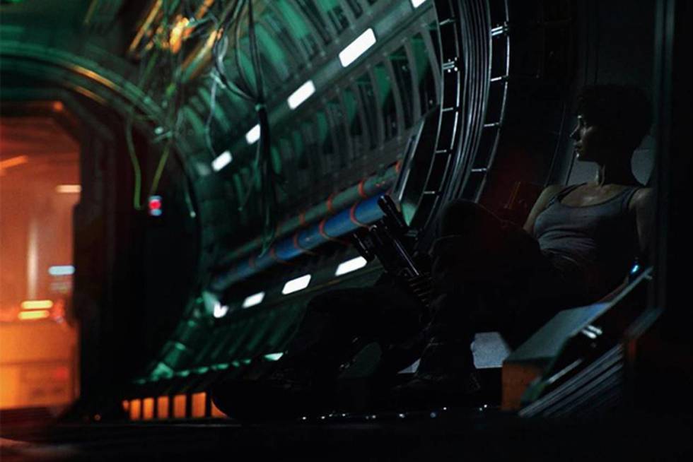 6 coisas que você precisa saber sobre a nova estrela da saga ‘Harry Potter’