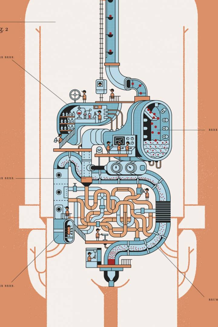 Viagem às nossas profundezas: a chave está no intestino Viagem às nossas profundezas: a chave está no intestino