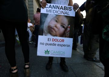 Argentina aprova o uso medicinal da maconha Argentina aprova o uso medicinal da maconha