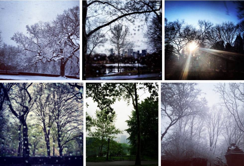 Seis das 15 fotos que Melania publicou do Central Park do interior de um carro, 2013–2015
