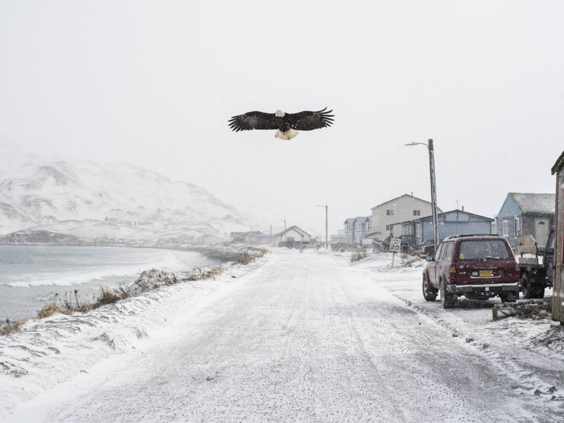 A rebelião das águias no Alasca