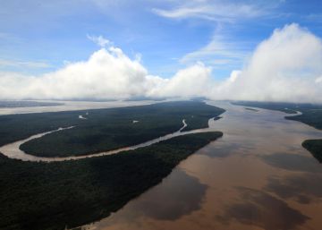 Após apelos da WWF e até de Gisele Bünchen, Temer veta redução de reserva na Amazônia Após apelos da WWF e até de Gisele Bünchen, Temer veta redução de reserva na Amazônia