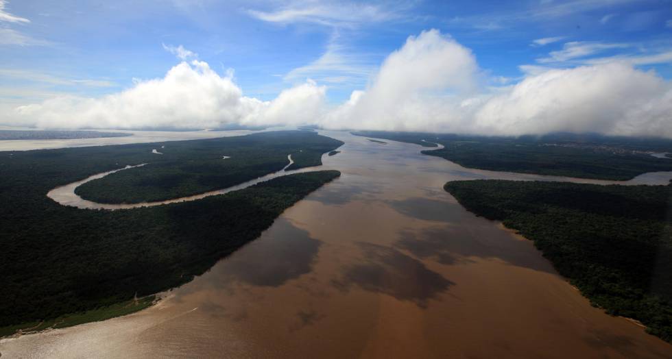 Floresta Amazônica, no Pará.