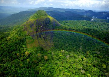 O sistema de conservação brasileiro é um tesouro verde-amarelo