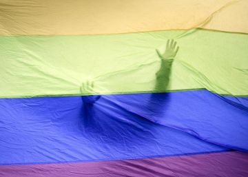 ‘Cura gay’: o que de fato disse o juiz que causou uma onda de indignação