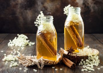 Kombucha, o fungo da moda para beber Kombucha, o fungo da moda para beber