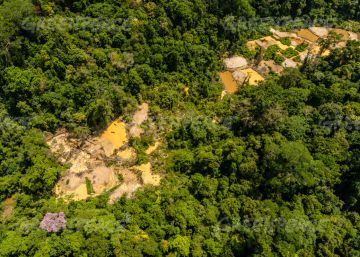 Renca: Temer revoga polêmico decreto que ameaça reservas da Amazônia Renca: Temer revoga polêmico decreto que ameaça reservas da Amazônia