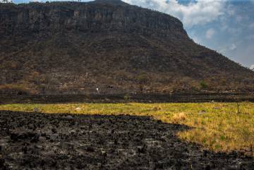 O desastre que queimou a Chapada dos Veadeiros e uniu um povo