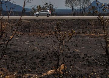 “Não acredito que o fogo da Chapada dos Veadeiros tenha sido criminoso”, diz prefeito