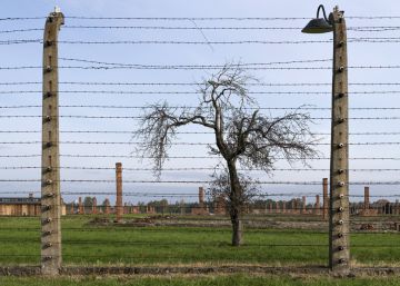 Auschwitz: a luta para preservar a memória do horror