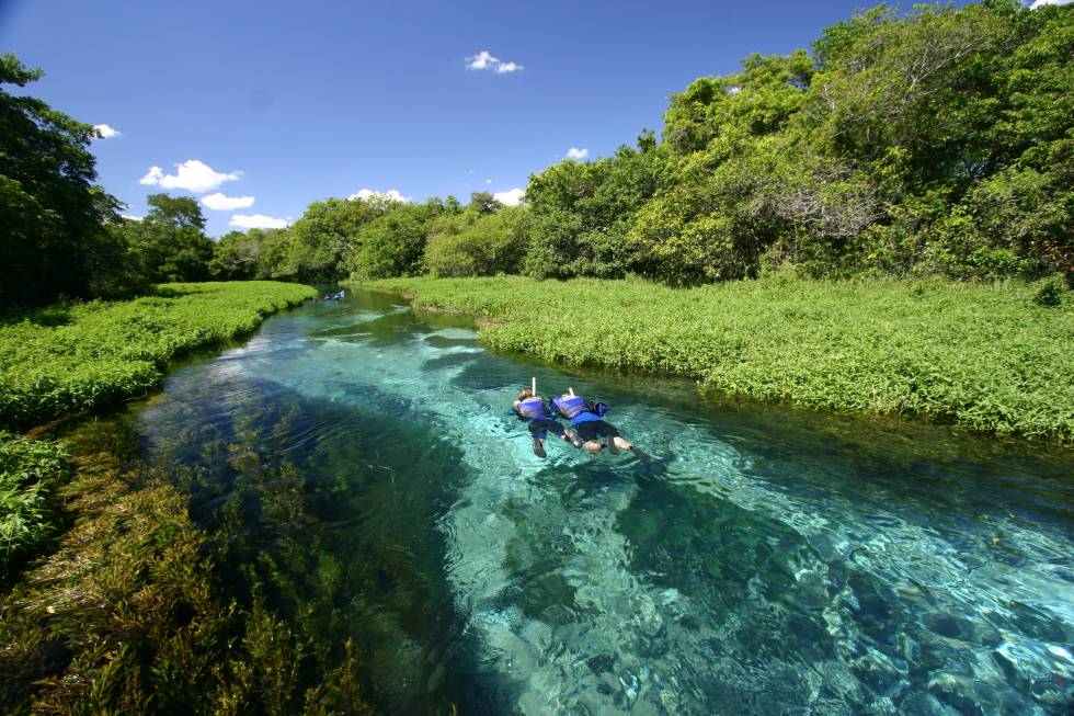 Bonito tem passeios imperdíveis como a flutuação nos seus rios.