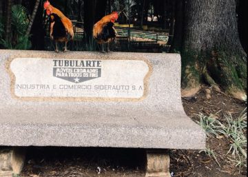 São Paulo não sabe quem é, e eu também não