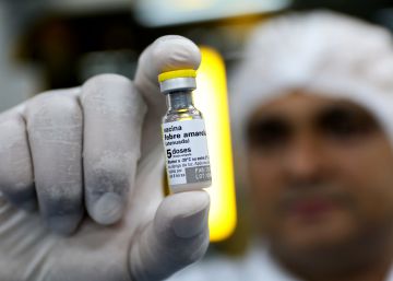 Febre amarela: os enigmas que a ciência ainda não consegue explicar