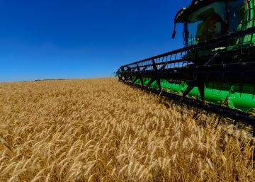 PIB cresce 1% puxado pela agricultura e consumo e sela fim de recessão do Brasil em 2017
