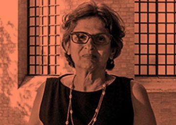 Celina Turchi: “Pesquisa em saúde pública não é luxo, é uma questão de segurança nacional”