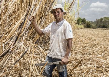 Por dentro da destruição secreta da grande savana do Brasil