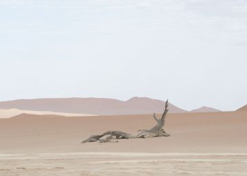 Paisagens surrealistas nos desertos da Namíbia