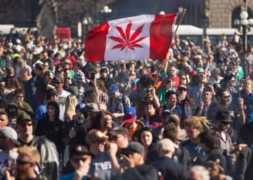Canadá é o primeiro país do G20 a legalizar a maconha para fins recreativos