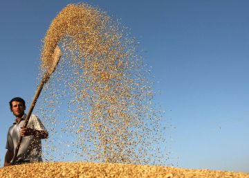 “O PL dos agrotóxicos vai ter um impacto direto na saúde do trabalhador rural”