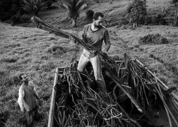 Ayahuasca, canal aberto