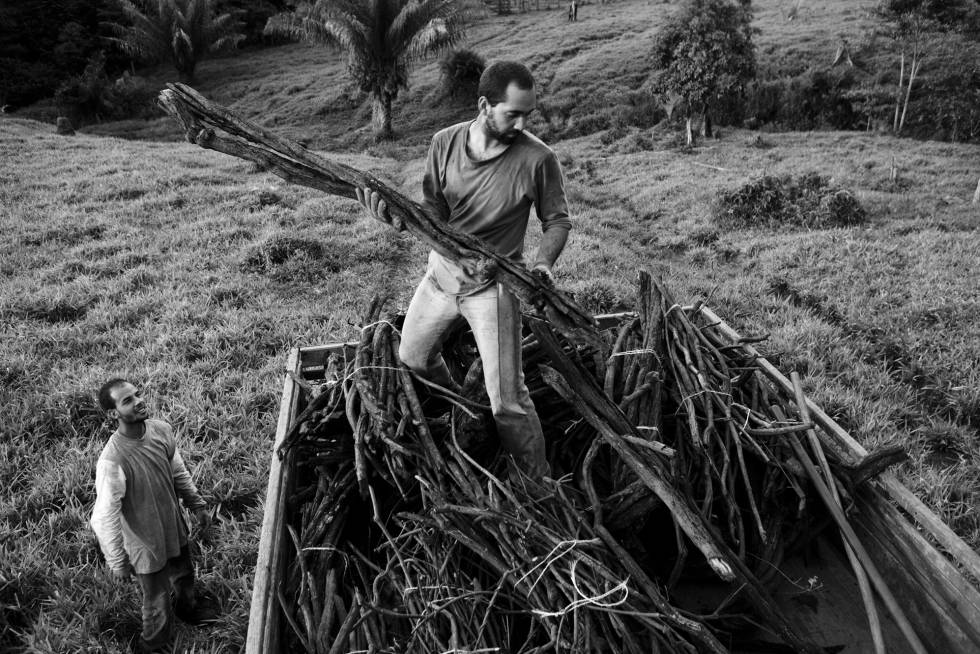 Ayahuasca, canal aberto