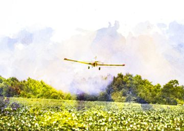 Agrotóxicos intoxicaram 26.000 brasileiros nos últimos dez anos