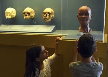A ciência perdida no incêndio do Museu Nacional