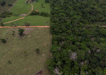 A Amazônia está à venda: quem der menos leva