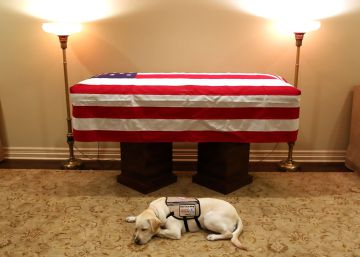As homenagens a George Bush pai, em imagens