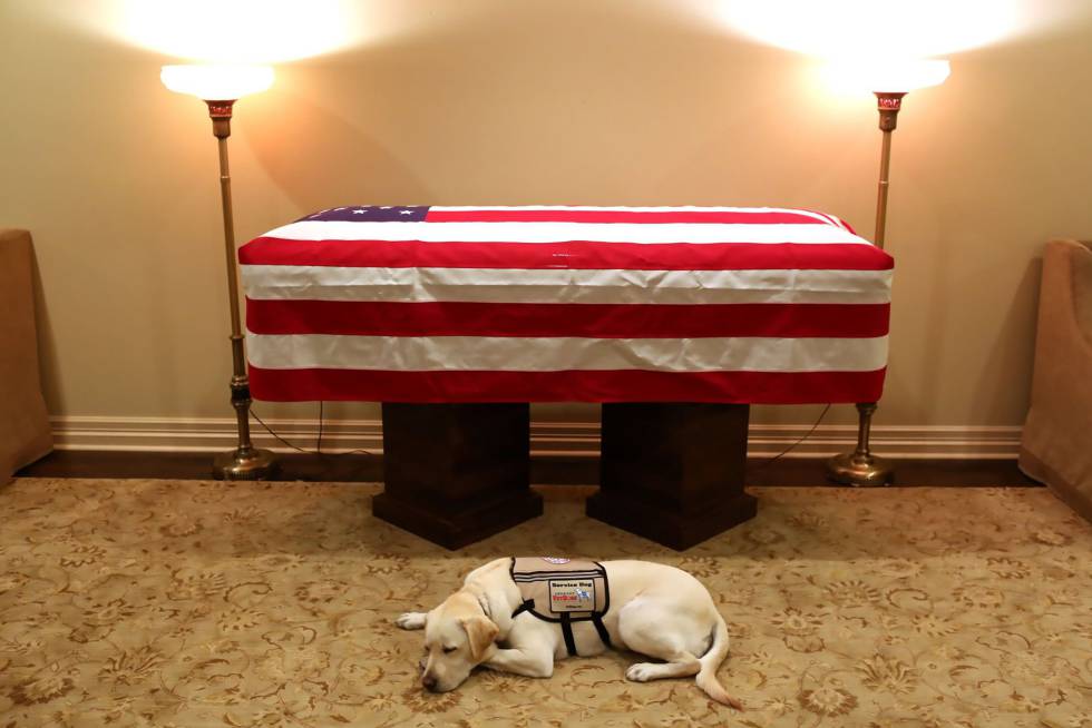 george bush