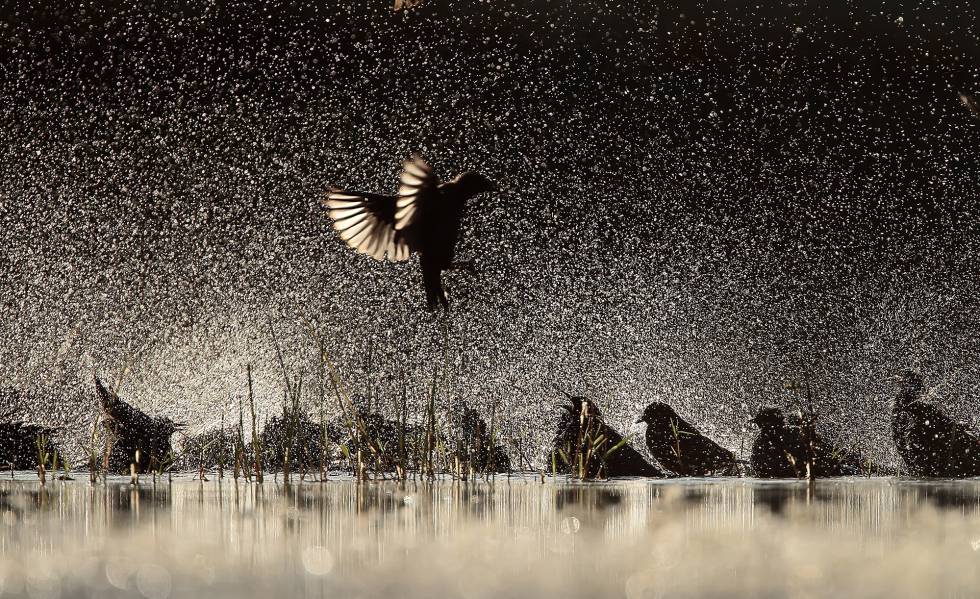 O ritmo da natureza