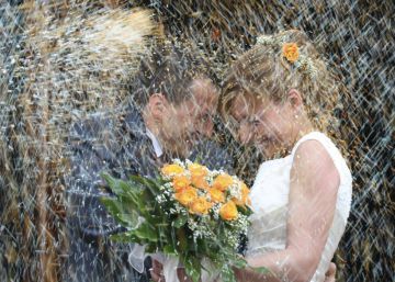 Identificados os genes relacionados com a tendência à monogamia