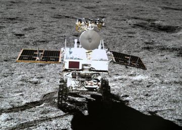 China consegue que uma semente de algodão brote na Lua pela primeira vez
