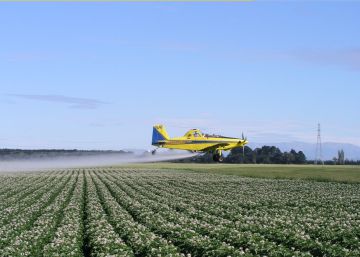 Governo brasileiro liberou registros de agrotóxicos altamente tóxicos