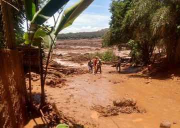 O desastre de Brumadinho, em imagens